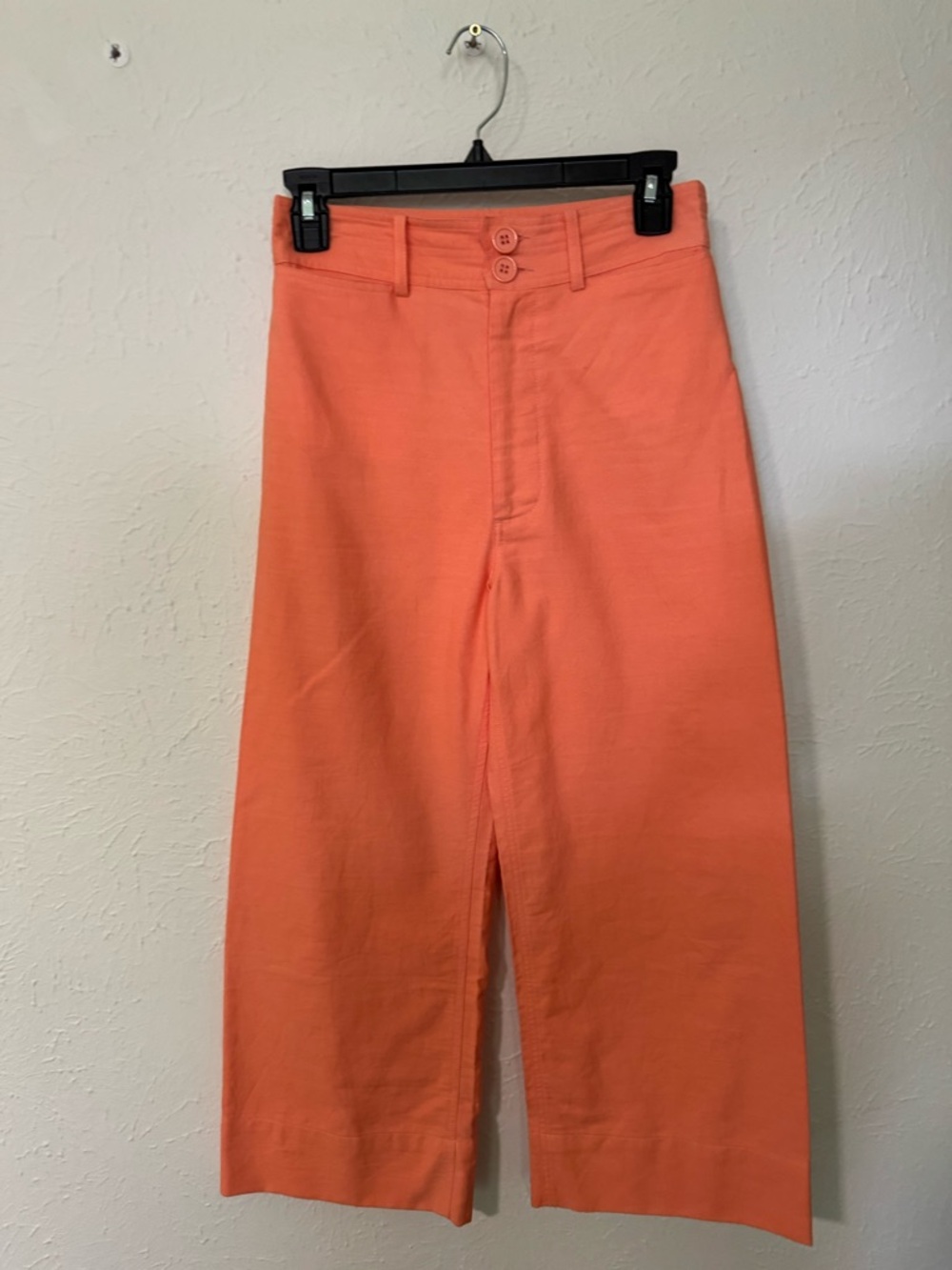 Apiece Apart Classic Merida High Waist Wide Leg Pant Size 2